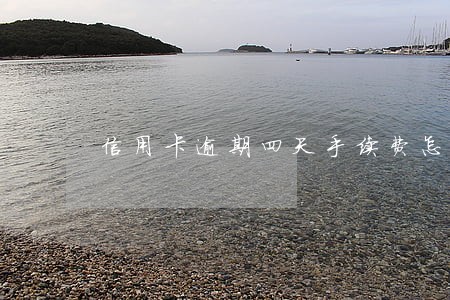 信用卡逾期四天手续费怎么算 信用卡逾期四天手续费怎么算