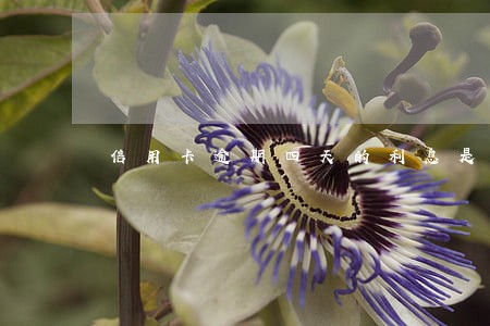 信用卡逾期四天的利息是多少 信用卡逾期四天的利息是多少