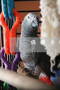 信用卡逾期四天让六点前还款