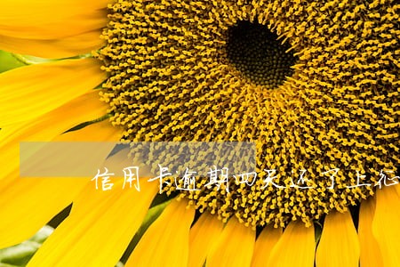 信用卡逾期四天还了上征信吗 信用卡逾期四天还了上征信吗