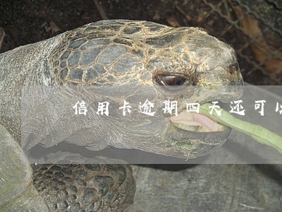 信用卡逾期四天还可以最低还款吗