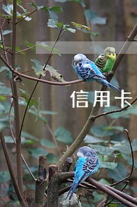 信用卡逾期四天还款会上征信吗 信用卡逾期四天还款会上征信吗