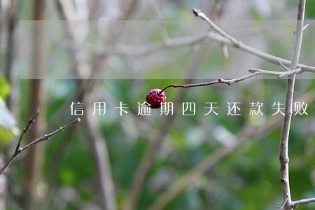 信用卡逾期四天还款失败 信用卡逾期四天还款失败