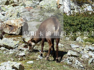 信用卡逾期四天还款怎么办 信用卡逾期四天还款怎么办