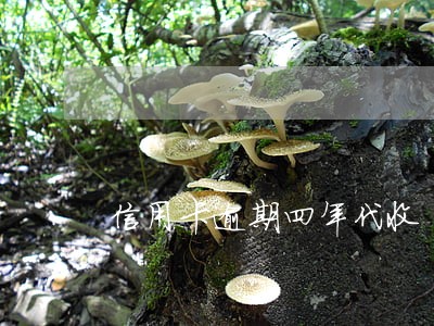信用卡逾期四年代收 信用卡逾期四年代收