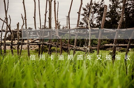信用卡逾期四年又被催收 信用卡逾期四年又被催收