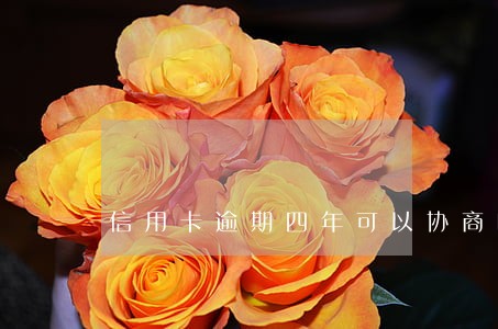 信用卡逾期四年可以协商吗 信用卡逾期四年可以协商吗