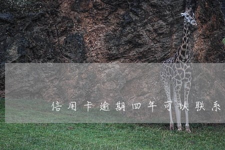 信用卡逾期四年可以联系银行