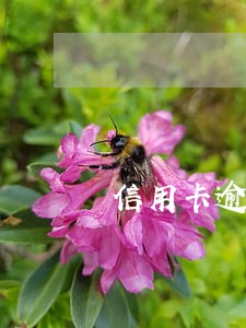 信用卡逾期四年未还过款如何处理 信用卡逾期四年未还过款如何处理