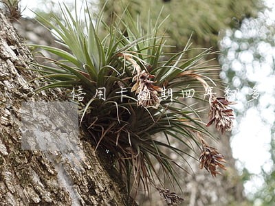 信用卡逾期四年翻多少倍 信用卡逾期四年翻多少倍