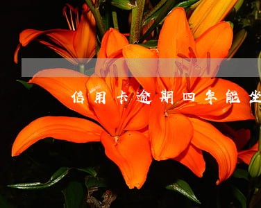 信用卡逾期四年能坐高铁吗