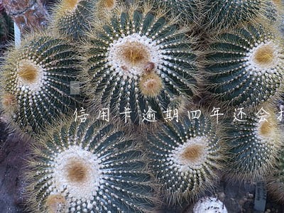 信用卡逾期四年还会报案抓人吗