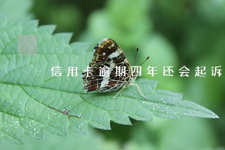信用卡逾期四年还会起诉吗 信用卡逾期四年还会起诉吗
