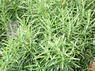 信用卡逾期四年还清有影响吗