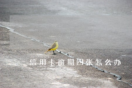 信用卡逾期四张怎么办 信用卡逾期四张怎么办