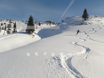 信用卡逾期四月 信用卡逾期四月