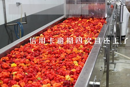 信用卡逾期四次且还上了 信用卡逾期四次且还上了