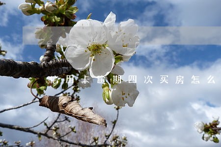 信用卡逾期四次买房怎么办 信用卡逾期四次买房怎么办