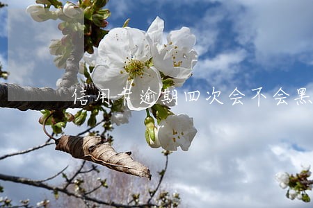 信用卡逾期四次会不会黑名单 信用卡逾期四次会不会黑名单