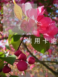 信用卡逾期四次影响房贷吗 信用卡逾期四次影响房贷吗