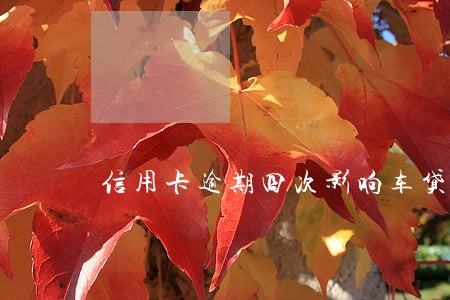 信用卡逾期四次影响车贷吗 信用卡逾期四次影响车贷吗