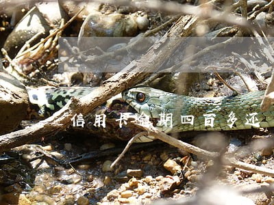 信用卡逾期四百多还 信用卡逾期四百多还