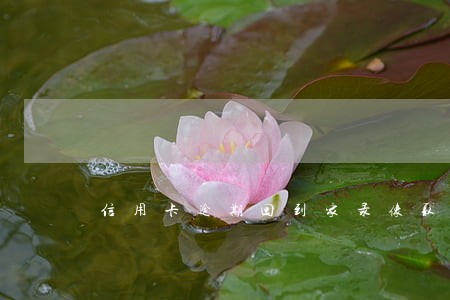 信用卡逾期回到家录像取证吗 信用卡逾期回到家录像取证吗