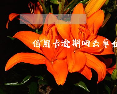 信用卡逾期回去单位 信用卡逾期回去单位