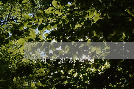 信用卡逾期回头 信用卡逾期回头