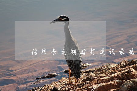 信用卡逾期回打通讯录吗 信用卡逾期回打通讯录吗