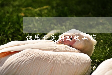 信用卡逾期回收工作