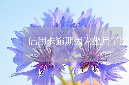 信用卡逾期因为坐月子没收入 信用卡逾期因为坐月子没收入