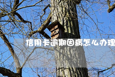 信用卡逾期因病怎么办理