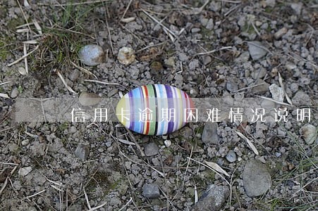 信用卡逾期困难情况说明 信用卡逾期困难情况说明