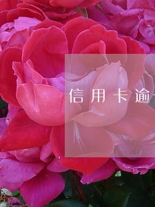 信用卡逾期困难症 信用卡逾期困难症
