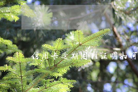 信用卡逾期困难证明如何写