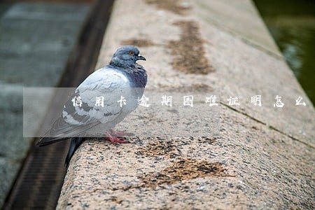 信用卡逾期困难证明怎么打 信用卡逾期困难证明怎么打