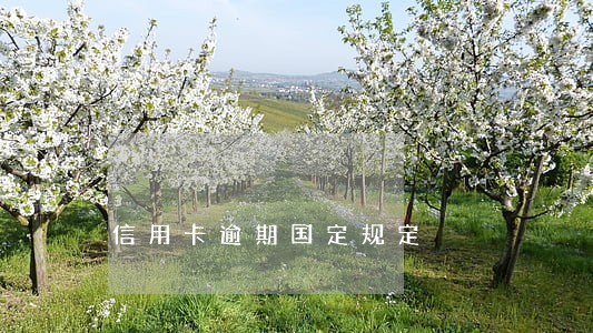 信用卡逾期国定规定