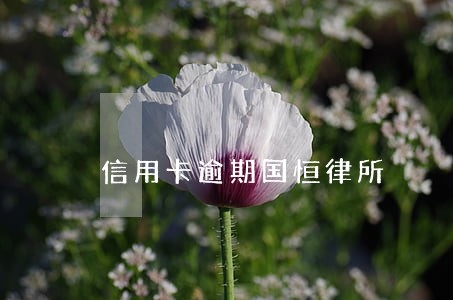 信用卡逾期国恒律所 信用卡逾期国恒律所
