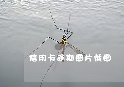 信用卡逾期图片截图 信用卡逾期图片截图