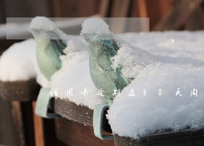 信用卡逾期在30天内