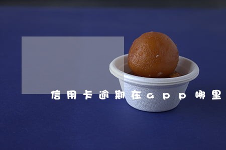 信用卡逾期在app哪里查 信用卡逾期在app哪里查