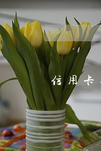 信用卡逾期在一个账单周期内 信用卡逾期在一个账单周期内