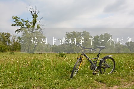 信用卡逾期在下一个账单日前还款 信用卡逾期在下一个账单日前还款