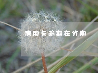 信用卡逾期在分期 信用卡逾期在分期