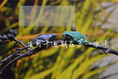 信用卡逾期在办一张卡 信用卡逾期在办一张卡