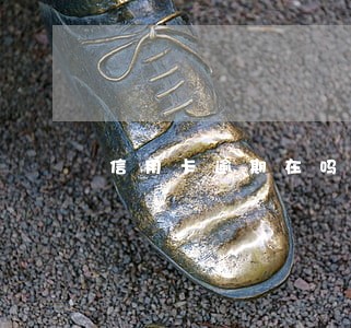 信用卡逾期在吗查看 信用卡逾期在吗查看