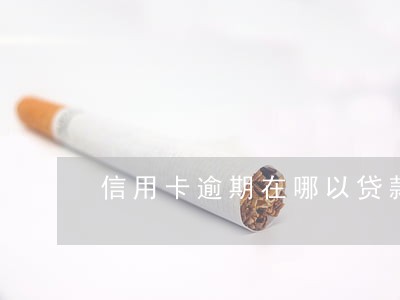 信用卡逾期在哪以贷款 信用卡逾期在哪以贷款