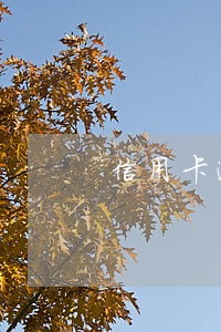 信用卡逾期在哪会显示