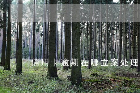 信用卡逾期在哪立案处理